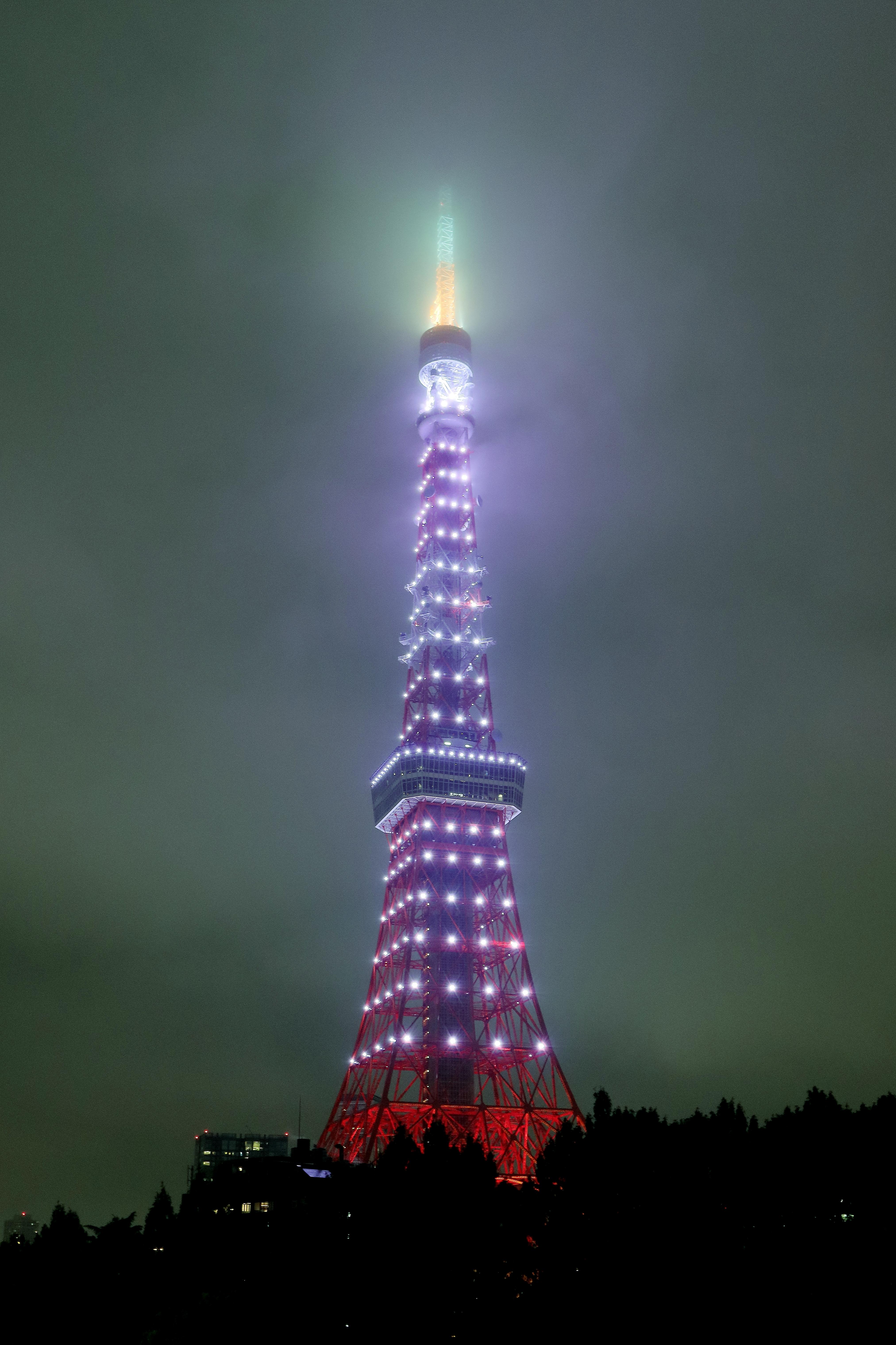 シルバーライトアップの東京タワー